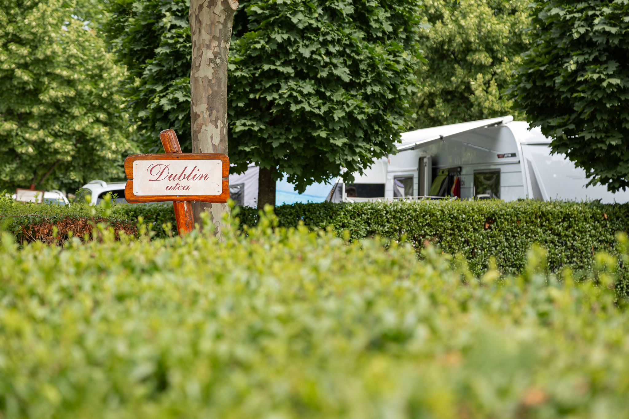 Várkert Termál Camping — photo 8